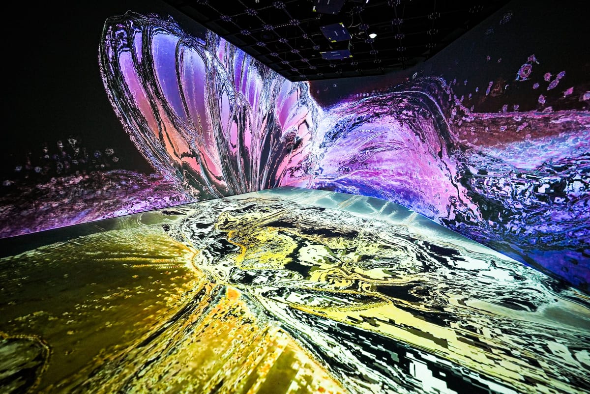 Exhibition view